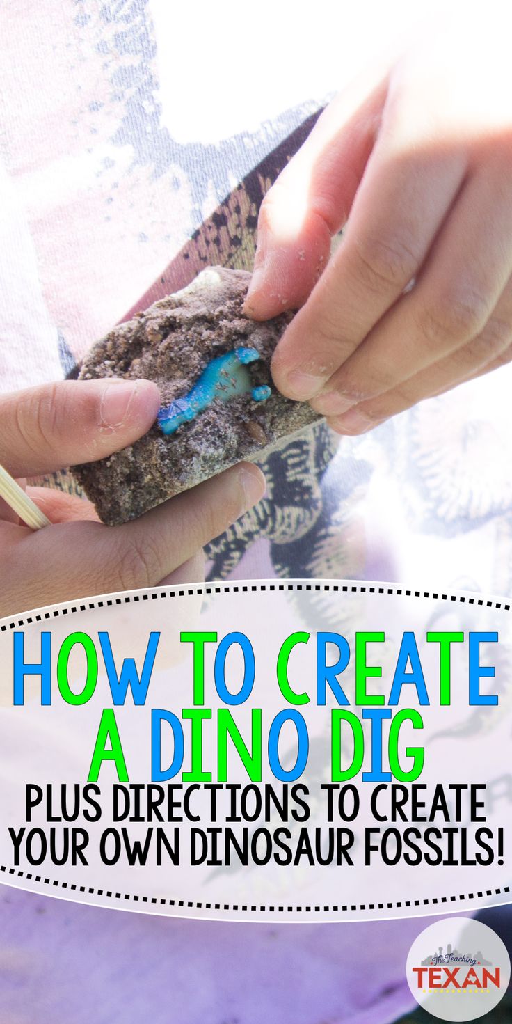 a person holding a piece of food with the title how to create adnodig plus directions to create your own dinosaur fossils