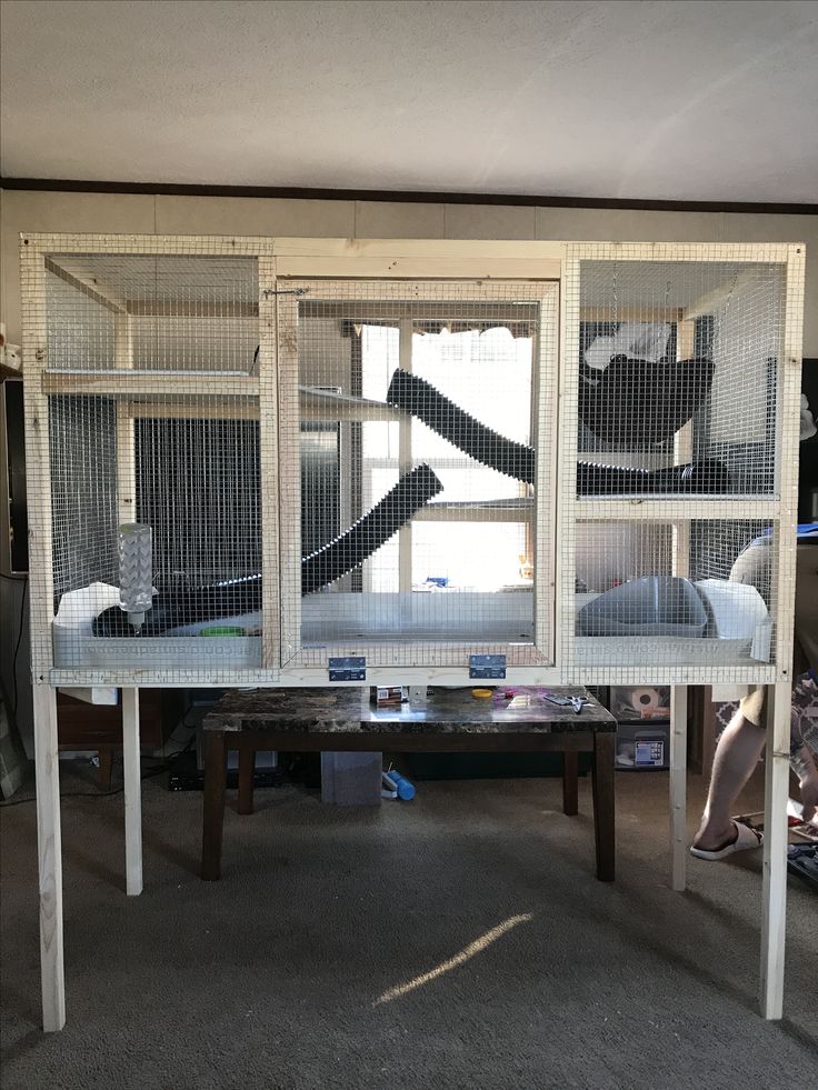 two people are sitting on top of a table in a room that has multiple cages