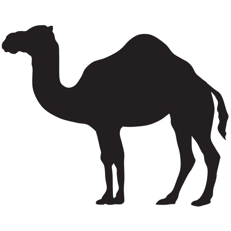 a black and white silhouette of a camel