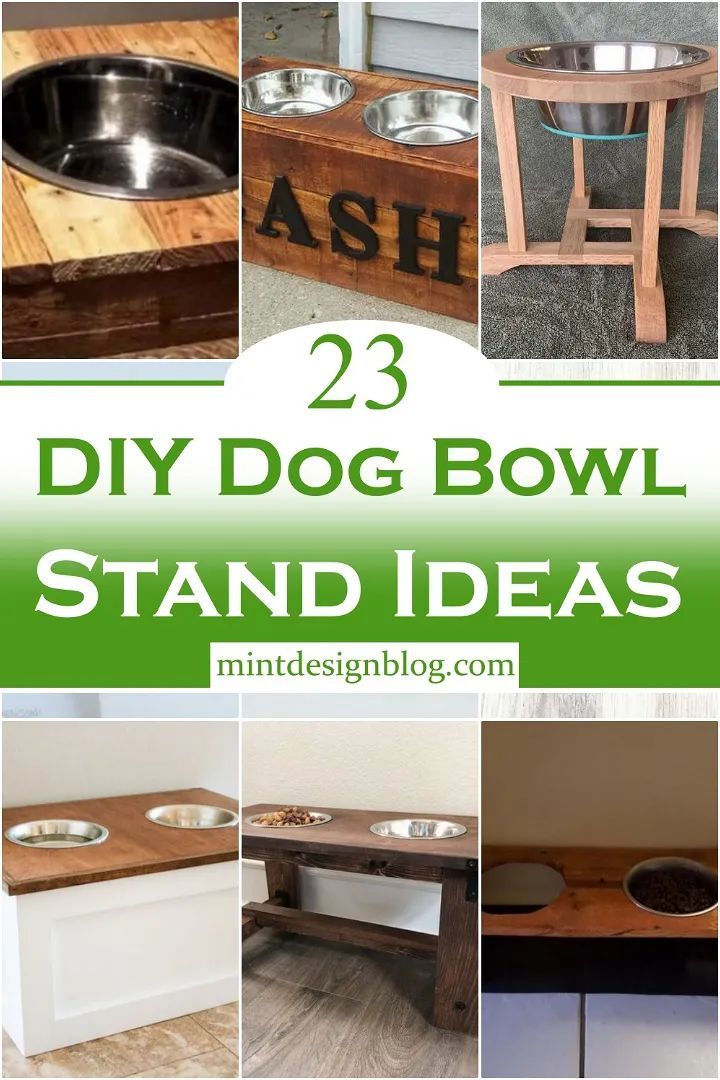 23 DIY Dog Bowl Stand Ideas Wood Dog Dish Stand, Diy Elevated Dog Bowls With Storage, Diy Dog Food And Water Bowl Stand, Single Dog Bowl Stand Diy, Stand For Dog Bowls, Standing Dog Bowls, Diy Dog Bowl Stand 3 Bowls, Diy Dog Feeder Station, Diy Dog Dish Holder