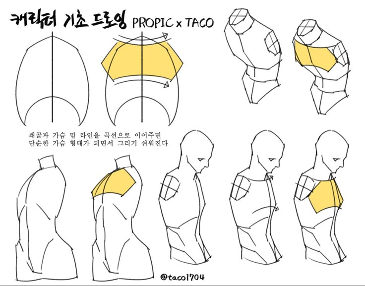 Propic Taco, Taco Drawing, Manga Tutorial, Anatomy Tutorial, Human Anatomy Drawing, Drawing Examples, Manga Drawing Tutorials, Anatomy Sketches, Body Reference Drawing