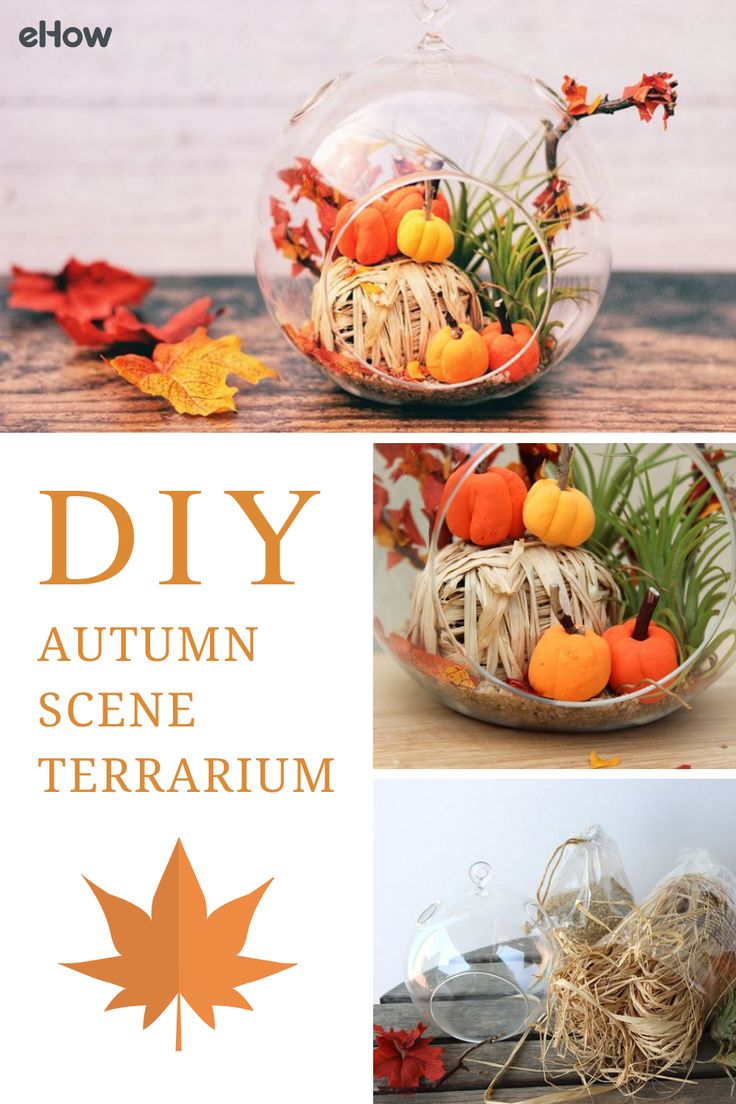 an autumn scene with pumpkins, leaves and other decorations in glass vases on a wooden table