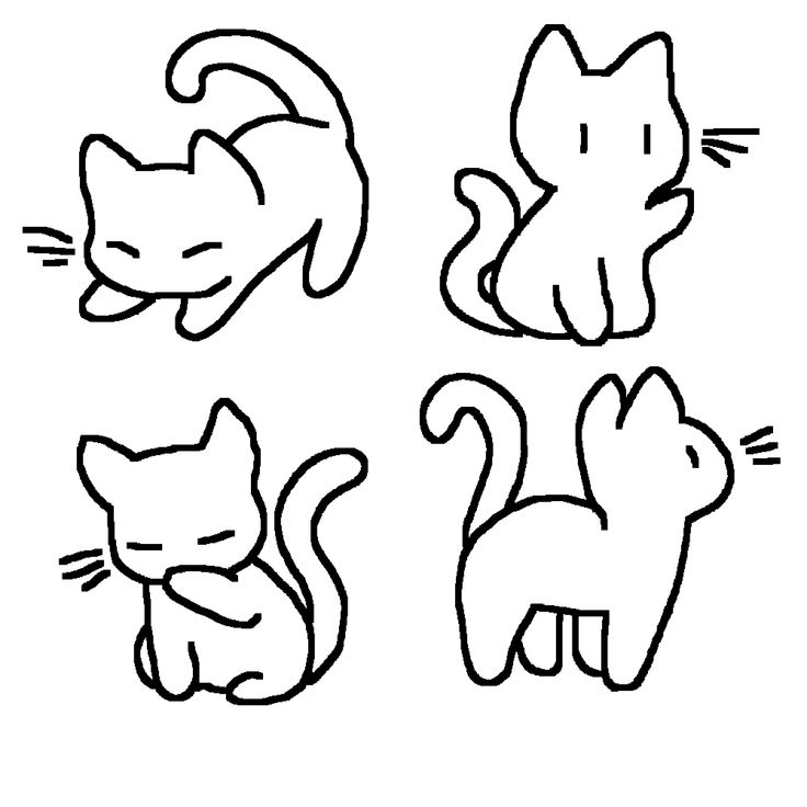 four cats with different shapes and sizes