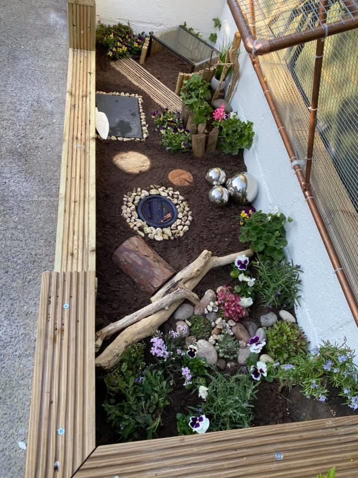 an outdoor area with plants and rocks in the ground, along with a wooden fence