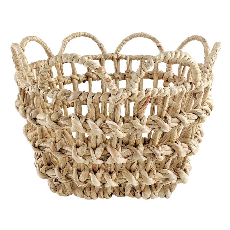 a woven basket is shown on a white background with clippings for the handles