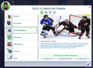 an image of a screen shot of a hockey player on the webpage for a website