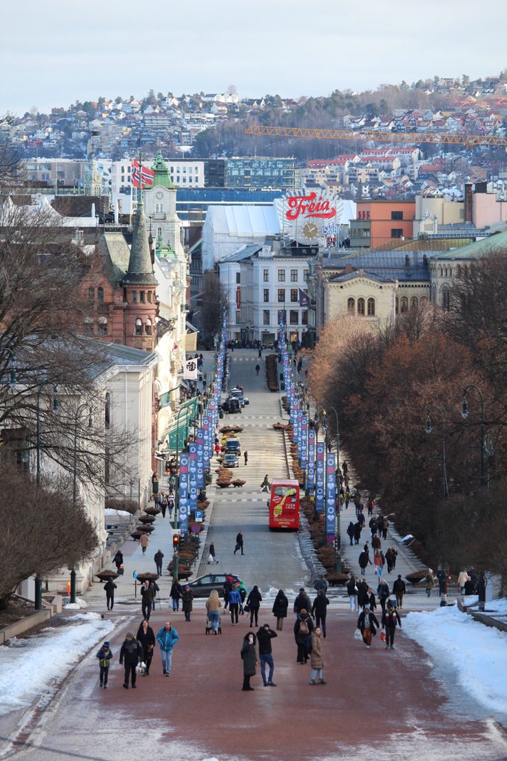 many people are walking down the street in front of some buildings and snow on the ground