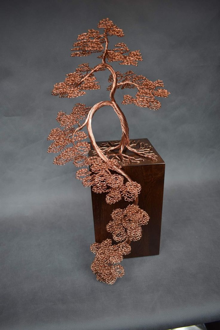 a bonsai tree is shown on display in a wooden box with wire work around it