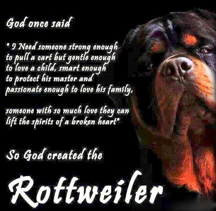 a rotweiler dog with its tongue out and the words rotweiler on it's side