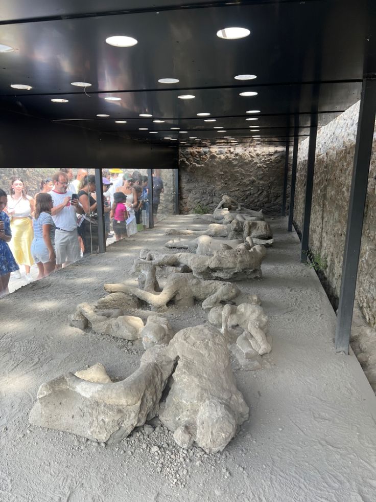 people are looking at some rocks in an enclosure