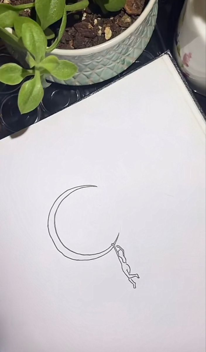 a drawing of a crescent on paper next to a potted plant with green leaves