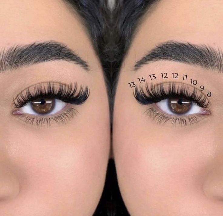 Lash Extentions Maps, Eyelash Extension Lengths, Lashes With Numbers, Lashes Extensions Numbers, Cat Eye Mapping Eyelash Extensions, Lashes Extensions Cat Eye, Eyelash Extensions Mapping Styles, Hybrid Doll Eye Lash Extensions, Lash Extensions Ideas