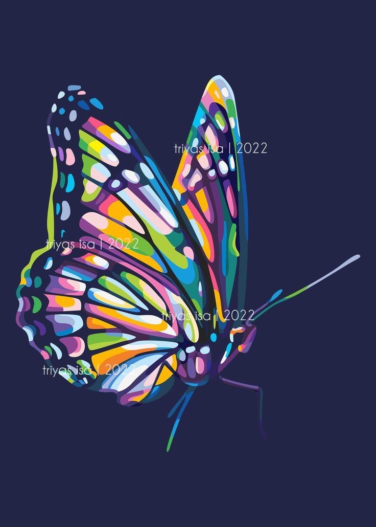 a colorful butterfly on a dark background