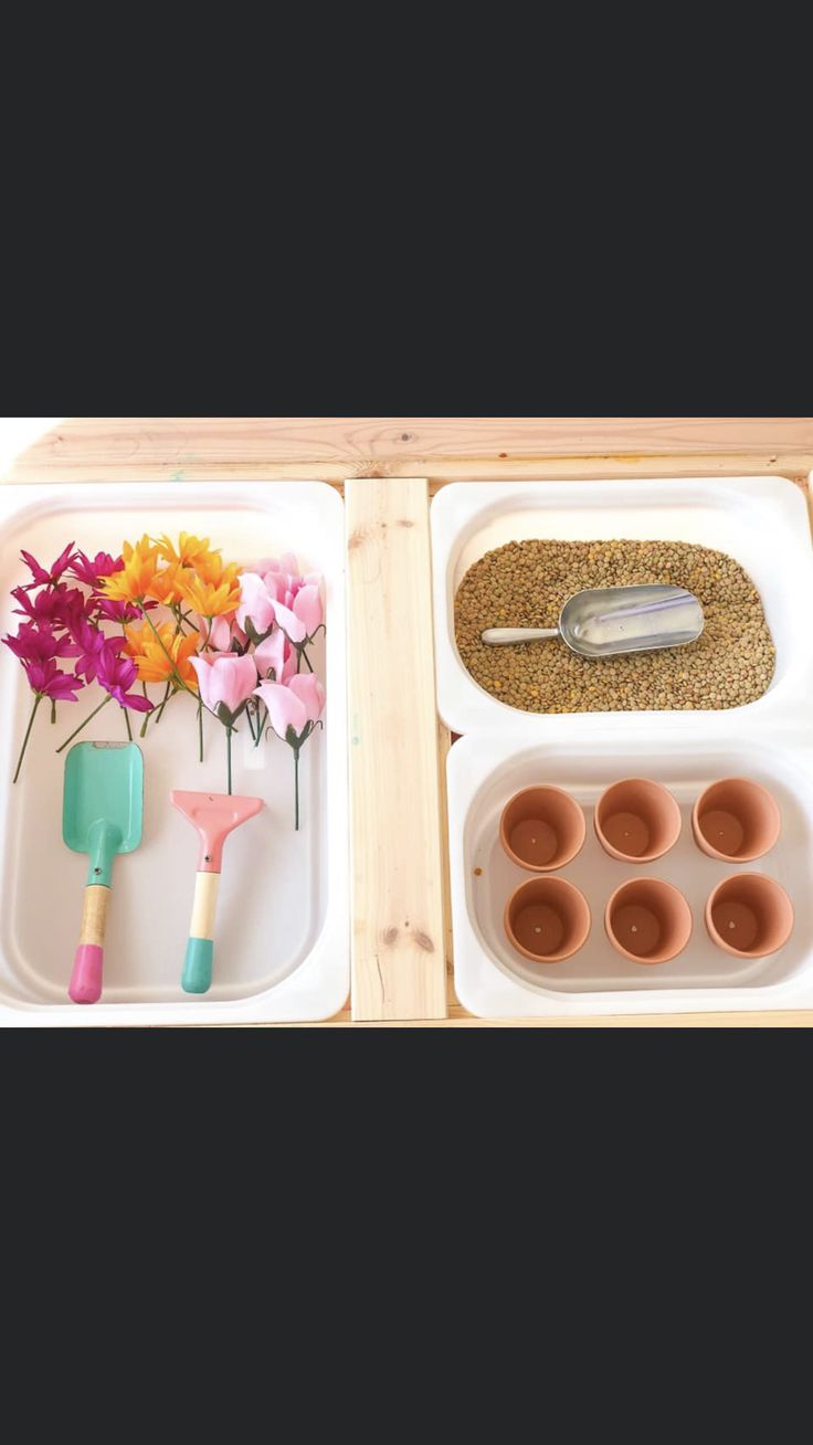 two trays filled with different types of flowers and gardening utensils next to each other