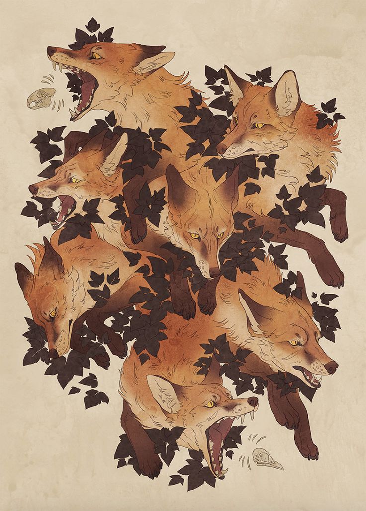 a group of foxes surrounded by leaves on a white background with brown and black colors