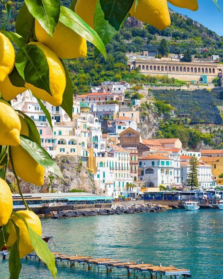 lemons are hanging on the tree near the water and buildings in the background,