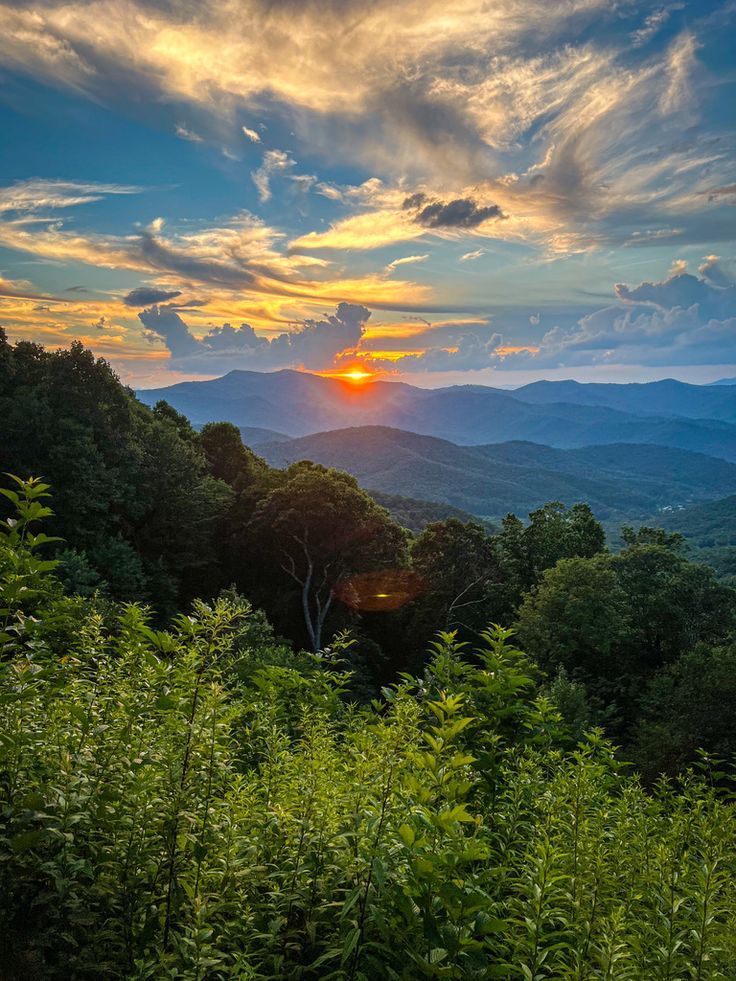 the sun is setting over mountains and trees in the foreground, with green foliage below