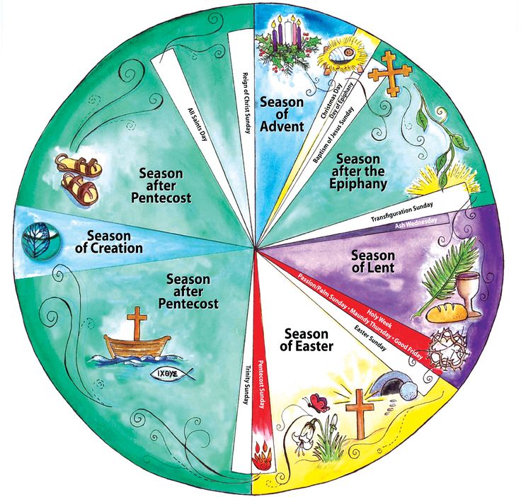 the seasons wheel is filled with different things