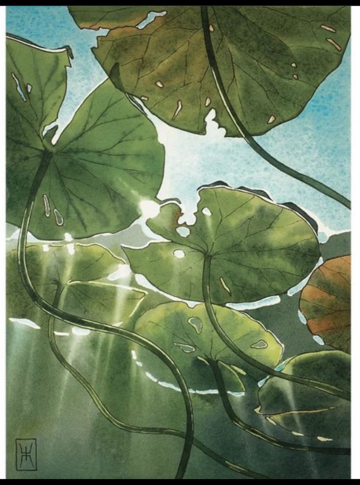 a painting of water lilies and sun shining through the leafy leaves on the water