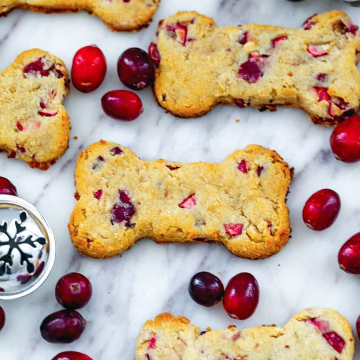 cranberry and white chocolate dog biscuits with a bowl of dip on the side