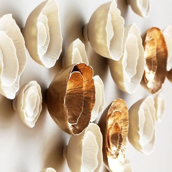 some white and brown shells are hanging on the wall