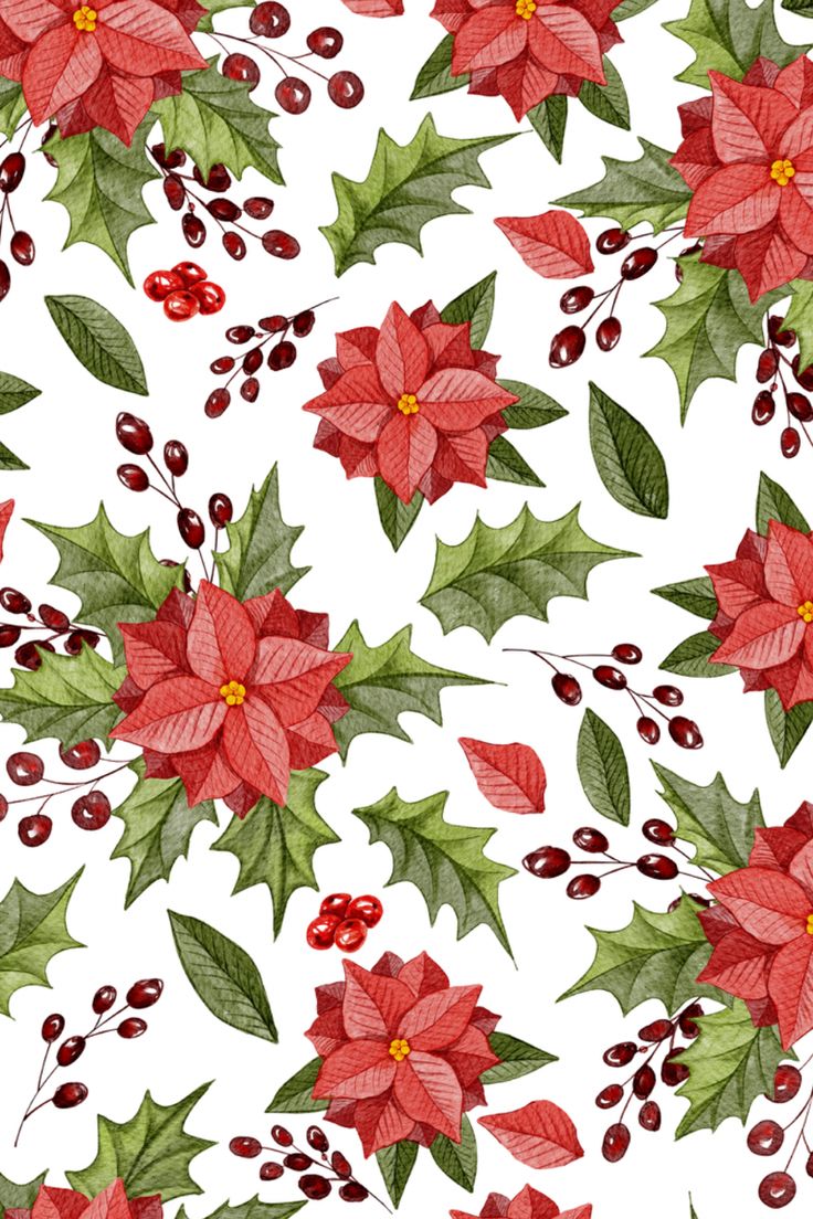 a christmas pattern with poinsettis, holly and berries on a white background