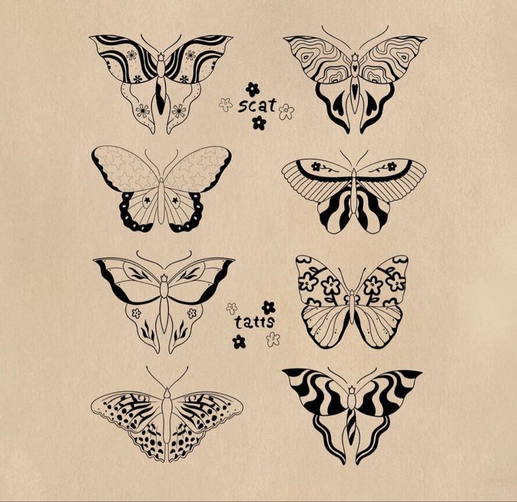 an image of butterflies in different shapes and sizes