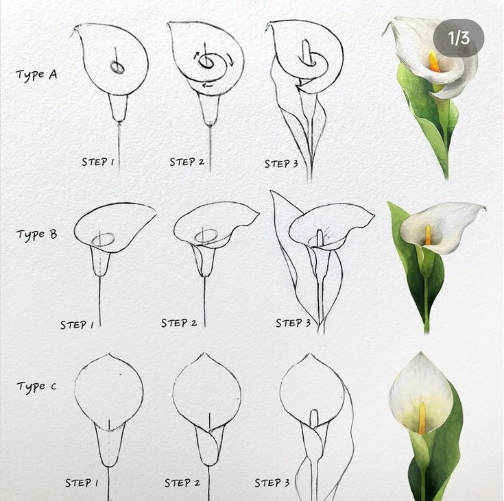 how to draw flowers step by step instructions for beginners with pictures and text below