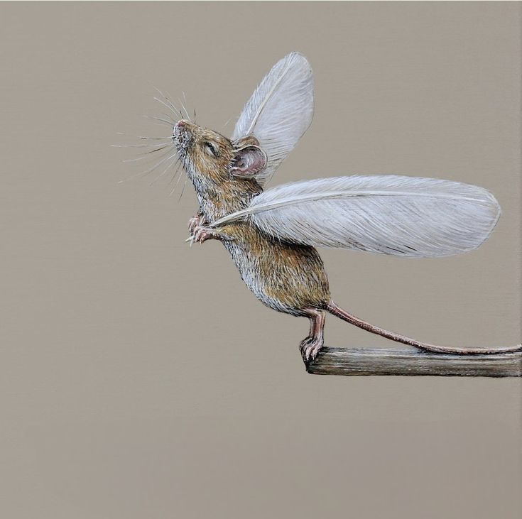 a mouse with wings on top of a piece of wood