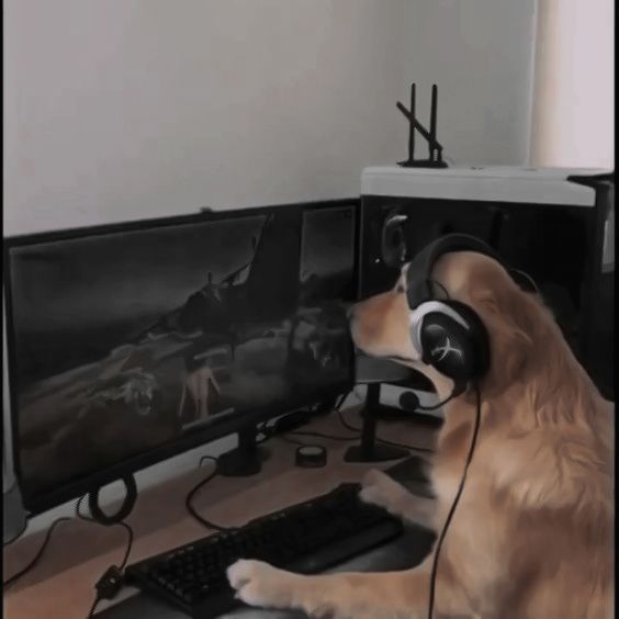 a dog sitting in front of a computer keyboard and monitor with headphones on its ears