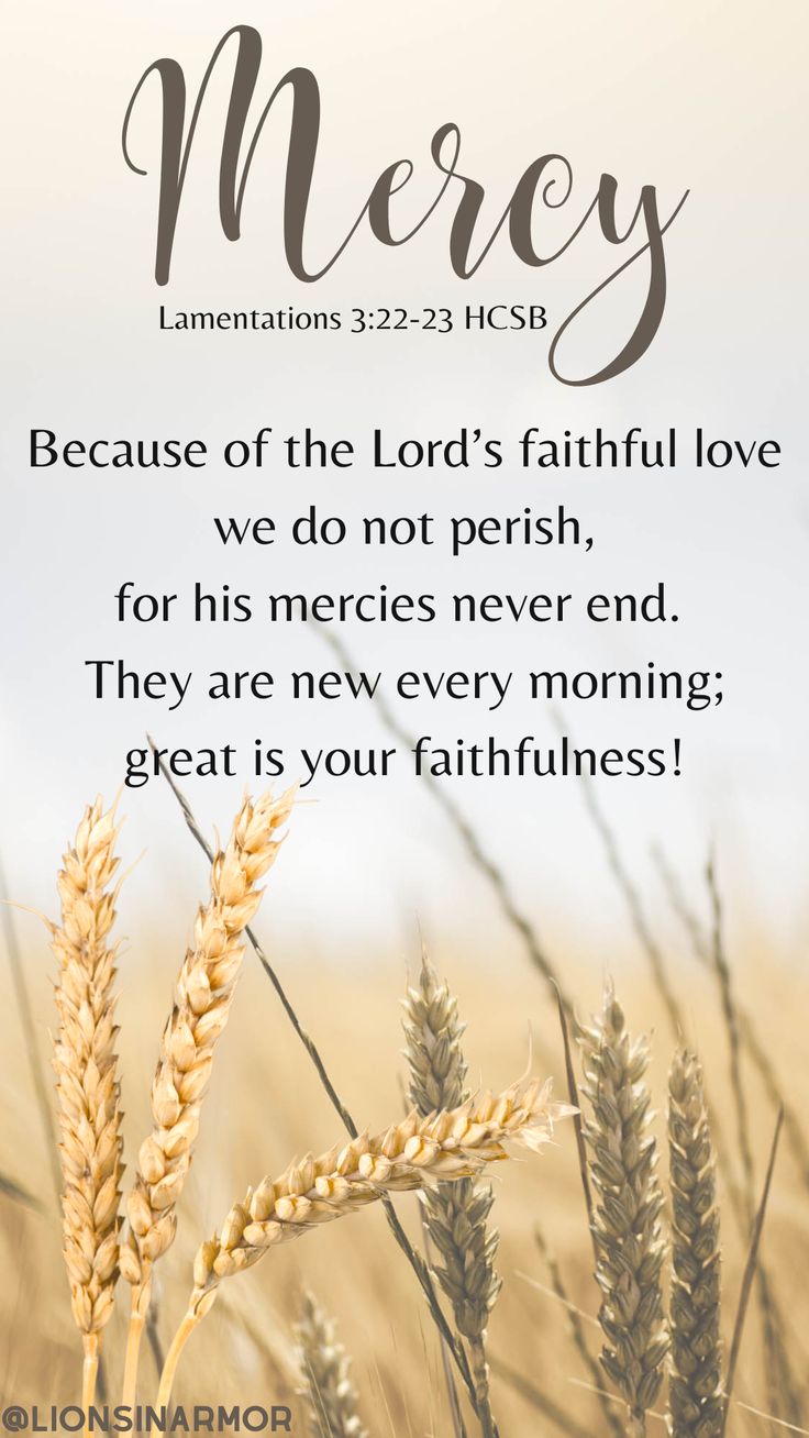 Lamentations 3:22-23 reminds us of God's Grace and Mercy. The Lord is faithful and shows us how much we can trust him each day when the sun rises again.