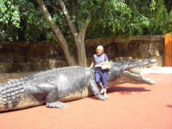 a man sitting on top of an alligator in front of a tree and water area