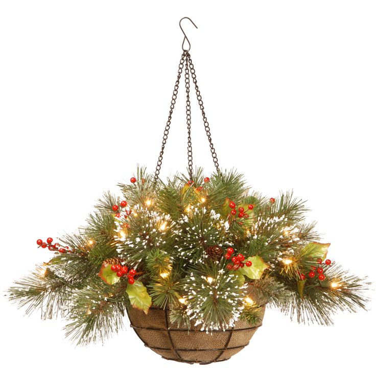 a potted plant hanging from a chain with christmas lights and berries on the top