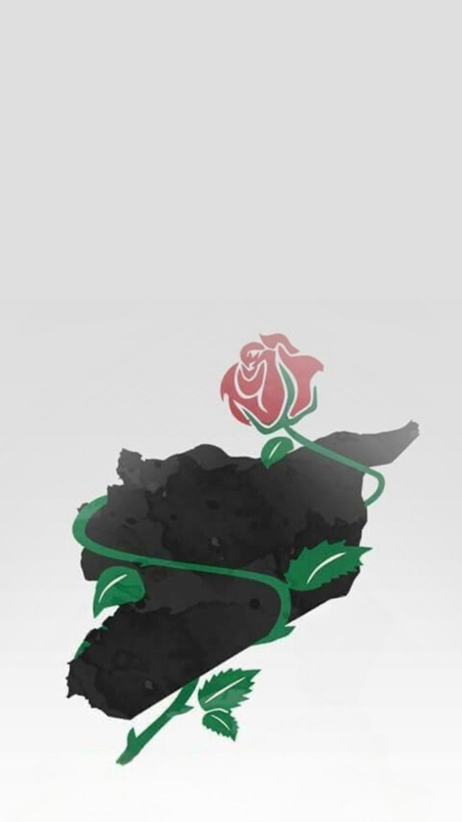 a rose that is sitting on top of a piece of black paper with green trim