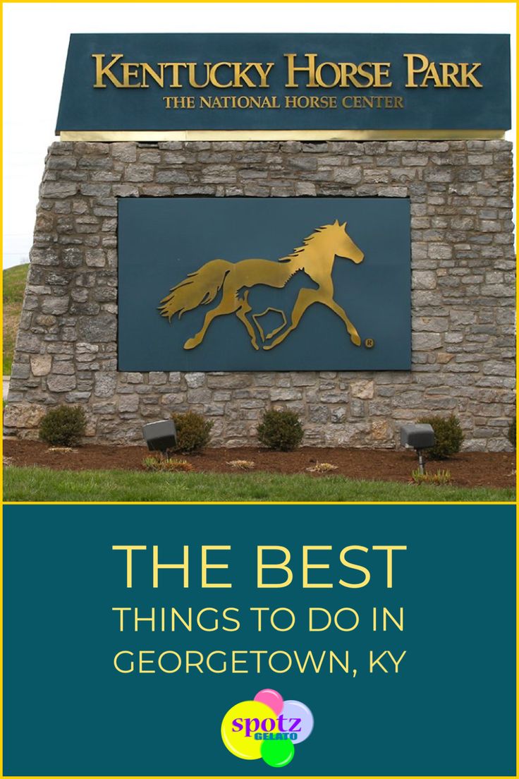 the best things to do in georgetown, ky with text overlaying kentucky horse park