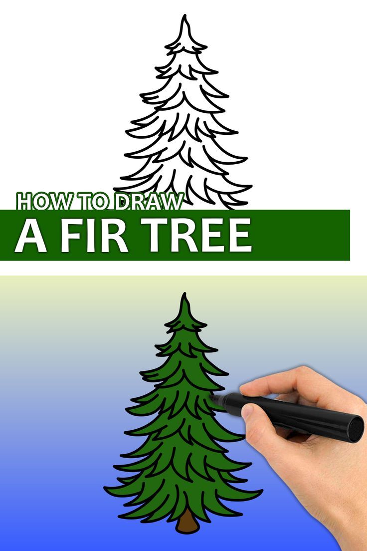 a hand drawing a fir tree on the side of a sign that reads how to draw a fir tree