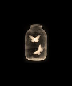 two white butterflies in a glass jar on a black background with the light from below