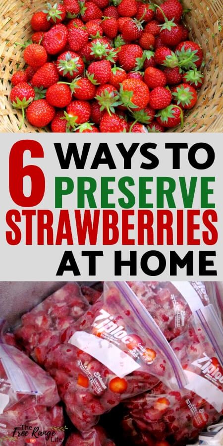 strawberries and other fruits in bags with text that reads 6 ways to preserve strawberries at home