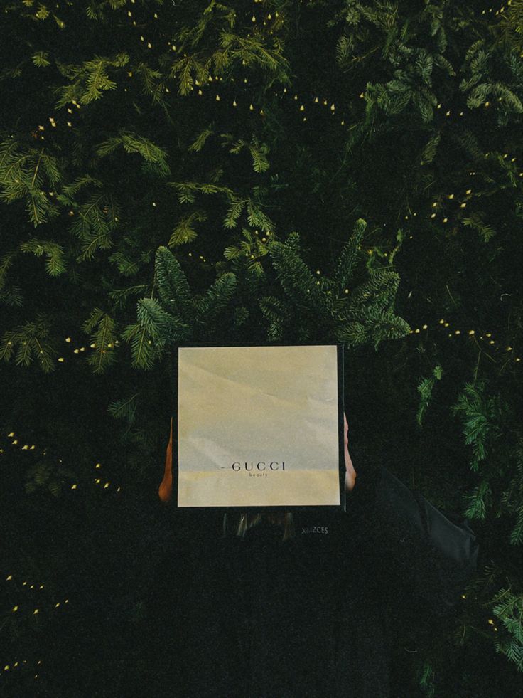 a person holding up a gucci box in front of a christmas tree with lights