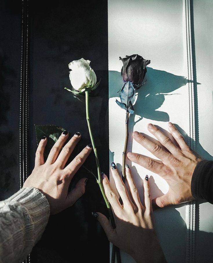 two hands reaching for a flower on a table