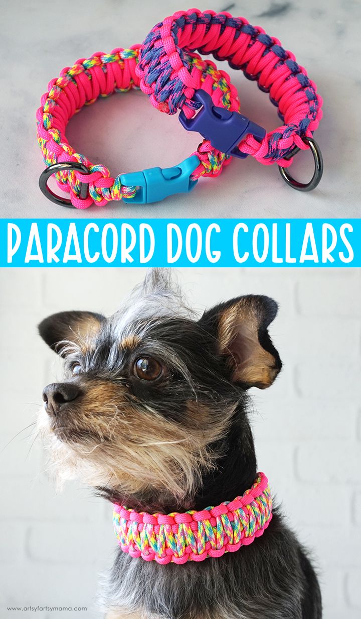 two different types of dog collars with the words paracord dog collars on them