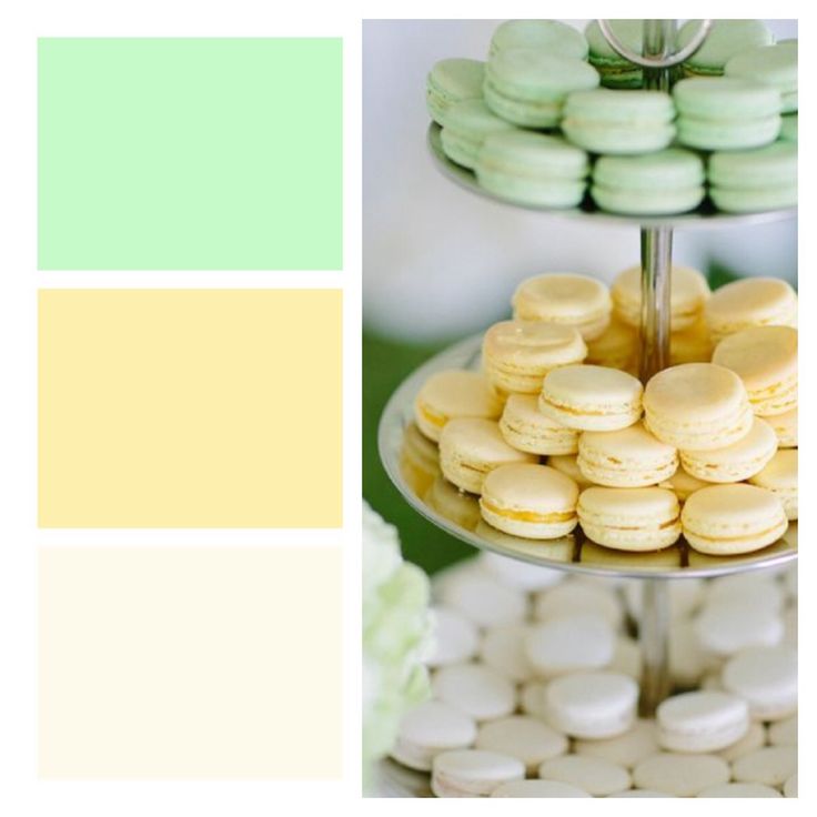 there is a plate with macaroons on it and the colors are green, yellow, and white