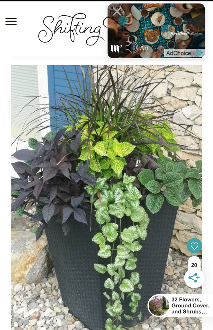 a planter filled with lots of green and purple plants