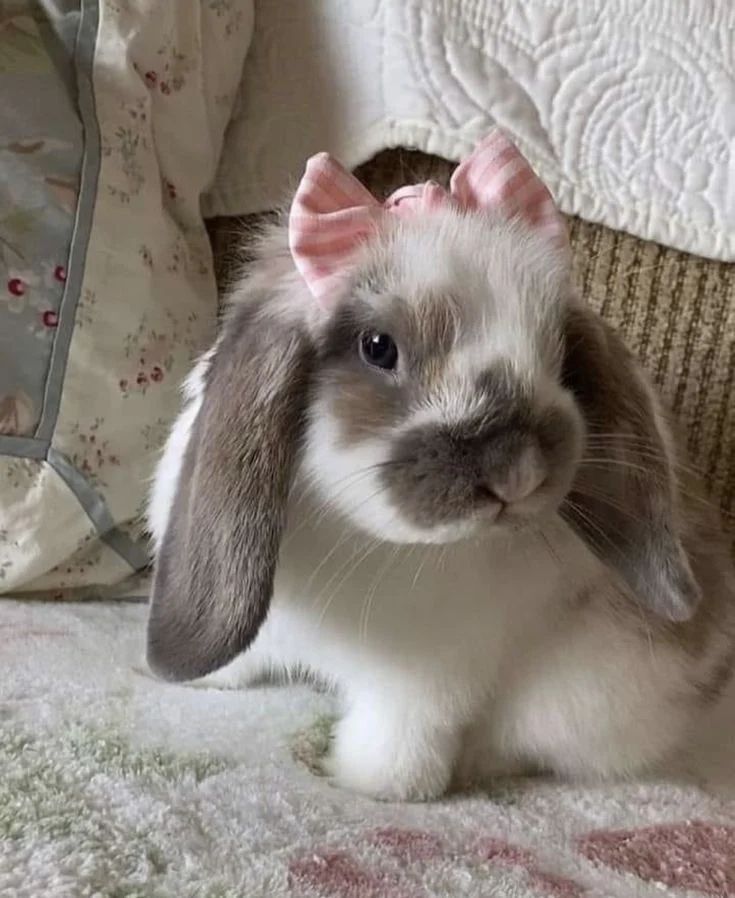 a small rabbit with a pink bow on its head