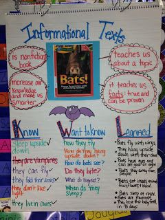 a bulletin board with informational texts written on it and an image of a bat