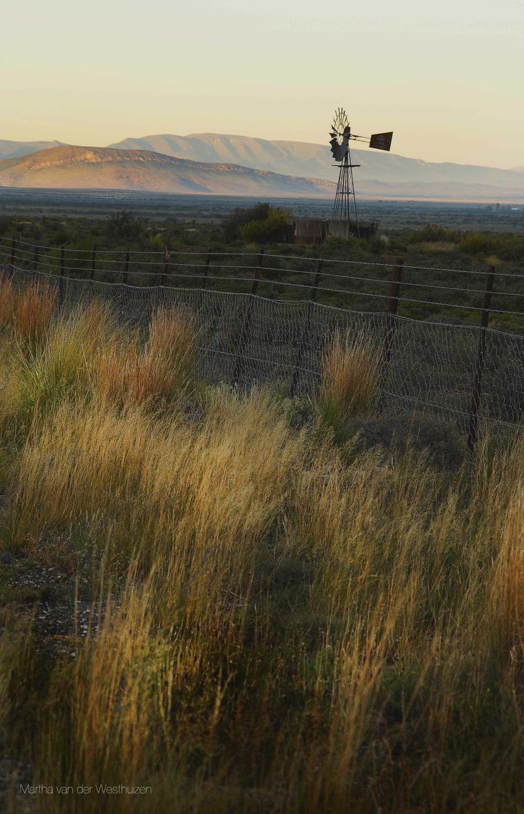 a windmill in the middle of a field with tall grass and mountains in the background