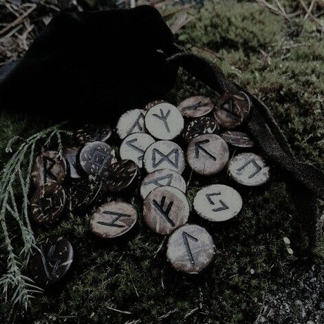 several wooden buttons sitting on the ground next to a black bag and some moss covered rocks