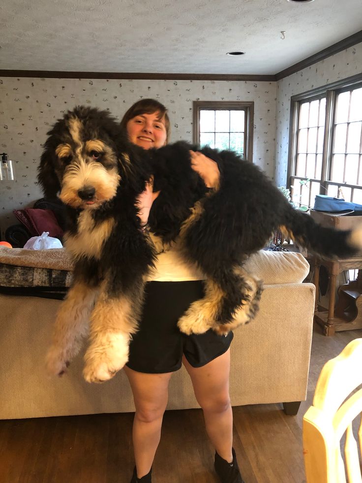 a woman is holding a dog in her arms