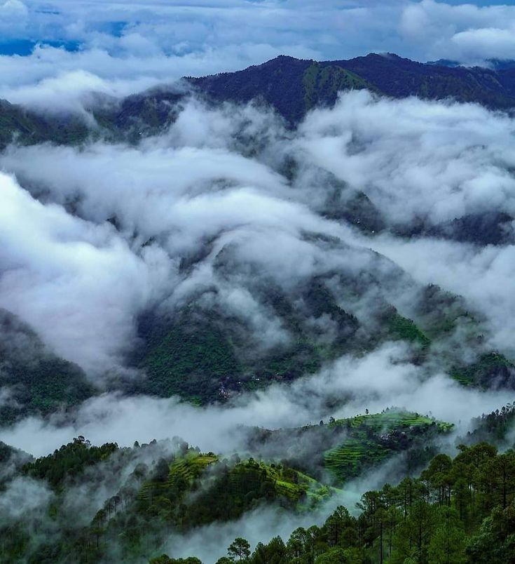 the mountains are covered in thick clouds and green trees on either side, as well as blue sky above them