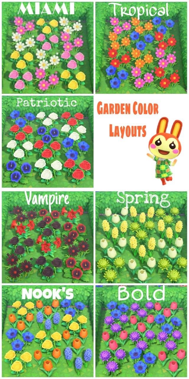 different types of flowers and plants with the words garden colors layouts in each one